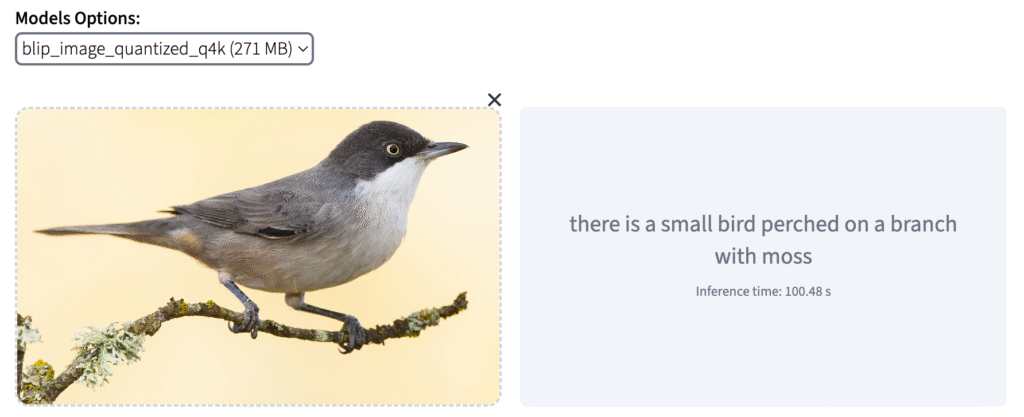 An image-to-text example showing how the BLIP vision-language model generates a descriptive caption based on visual content.