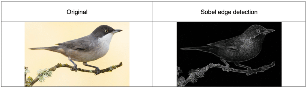 Example of image analysis showing edge detection results using the Sobel operator on a sample image.