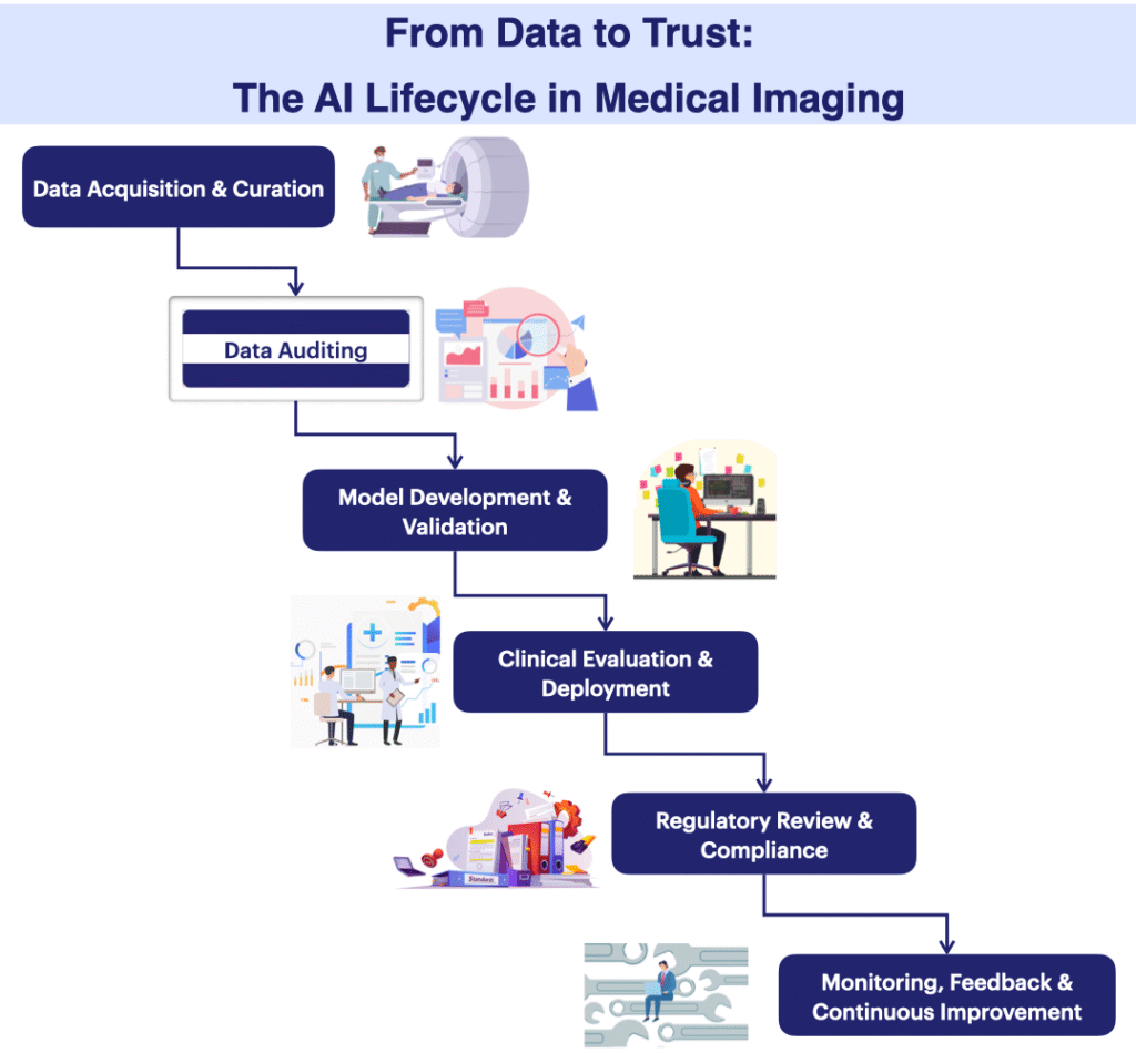 Diagram illustrating the responsible AI lifecycle in medical imaging, from data acquisition, curation, and auditing through model development, validation, regulatory compliance, deployment, and continuous monitoring.