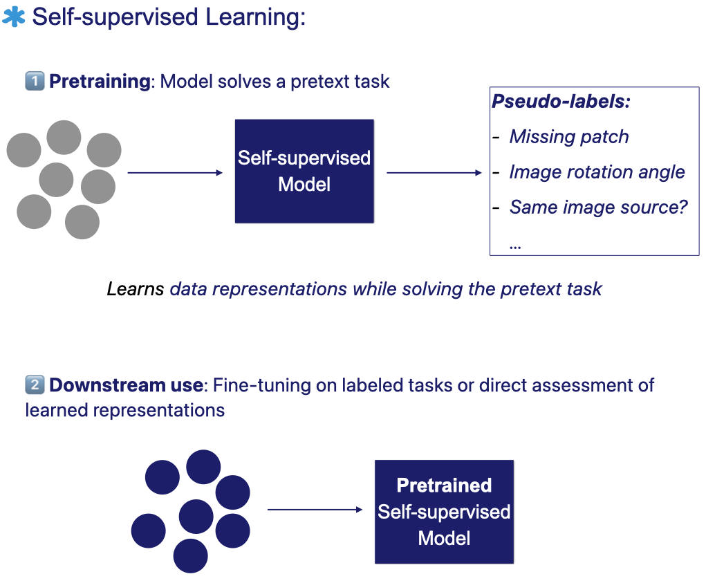 Diagram showing self-supervised learning workflow: the model is first trained on unlabeled data using a pretext task with automatically generated pseudo-labels, and the learned representations are then fine-tuned or evaluated on labeled downstream tasks.